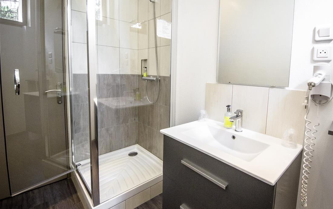 Chambre 2 personnes avec salle de bain au Mans - Hotel La Pommeraie - Hotel Le Mans - Hôtel La Pommeraie